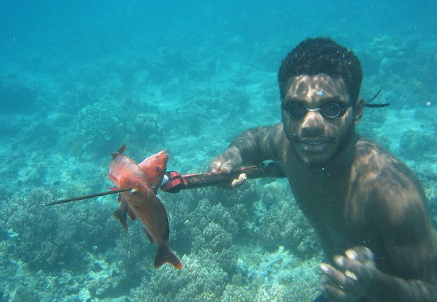 Where to go spearfishing