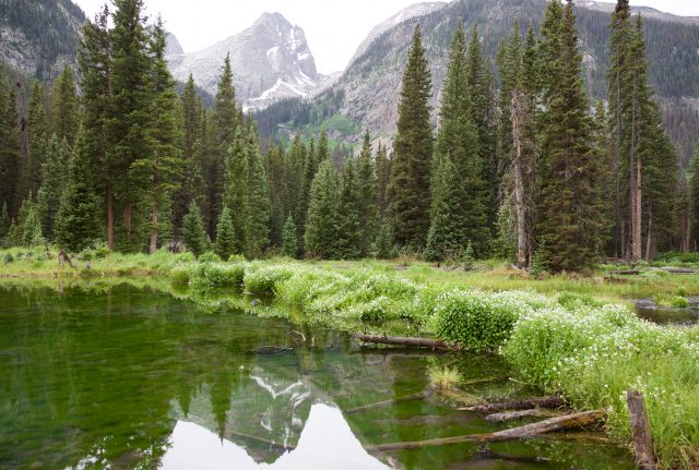 Arrow from Beaver Ponds