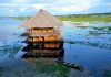 A hut standing above the water in Iquitos, Peru