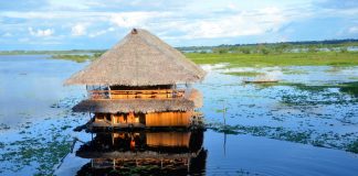 A hut standing above the water in Iquitos, Peru