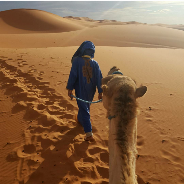 Sahara Desert Camel Ride