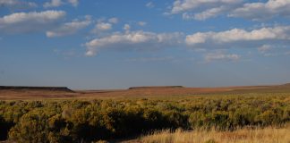 Sheldon National Wildlife Refuge is known for its pristine sagebrush-steppe ecosystem.View of the range looking south from Catnip Reservoir.